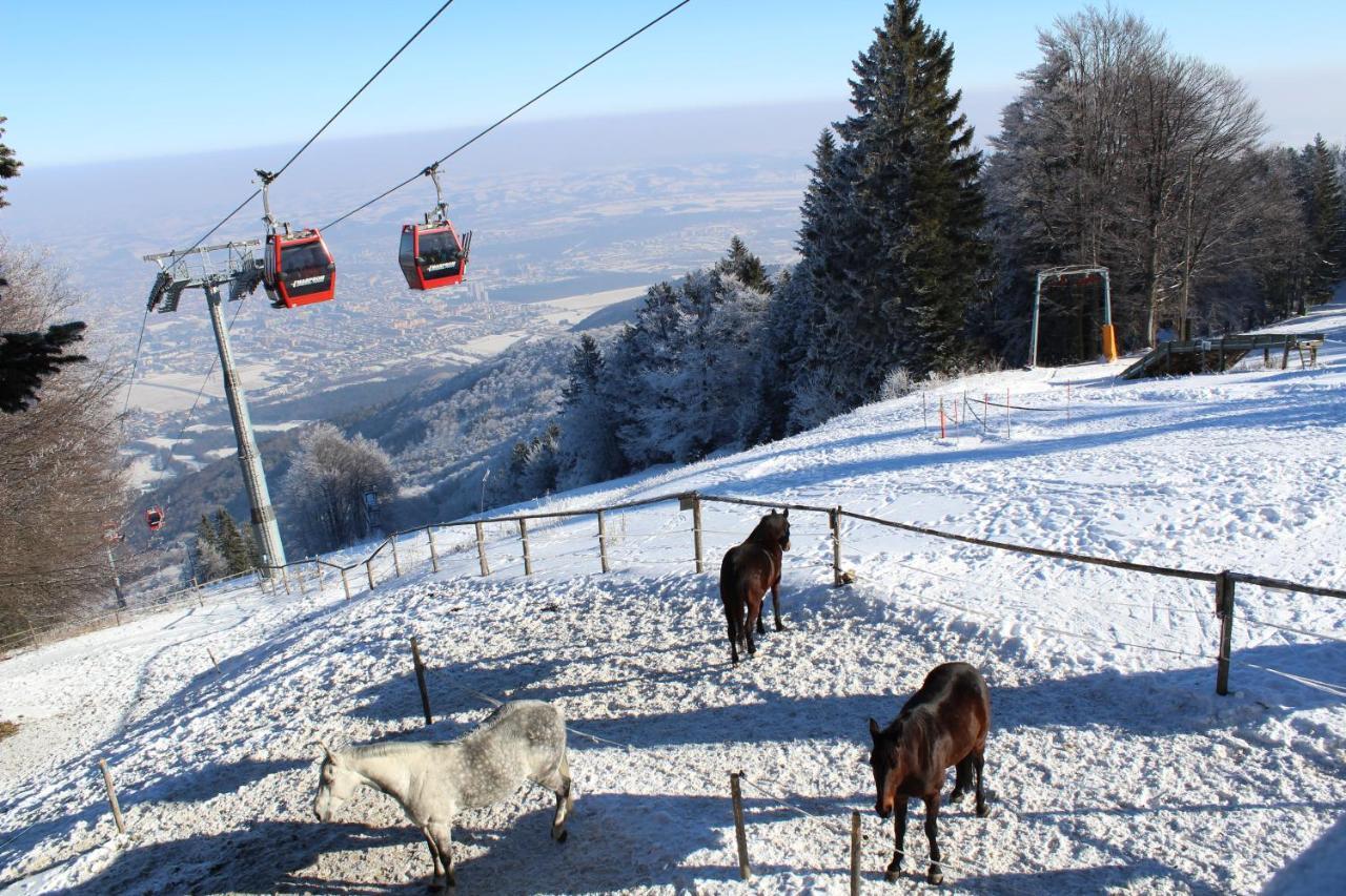 Pohorje Village Wellbeing Resort - Forest Hotel Videc ฮอชโกโปโอเรีย ภายนอก รูปภาพ