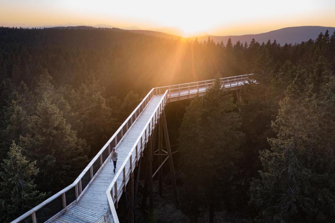 Pohorje Village Wellbeing Resort - Forest Hotel Videc ฮอชโกโปโอเรีย ภายนอก รูปภาพ