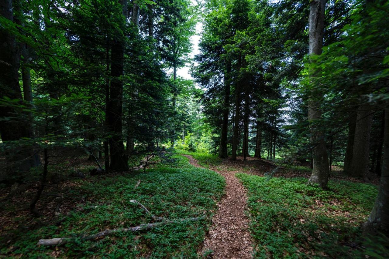 Pohorje Village Wellbeing Resort - Forest Hotel Videc ฮอชโกโปโอเรีย ภายนอก รูปภาพ